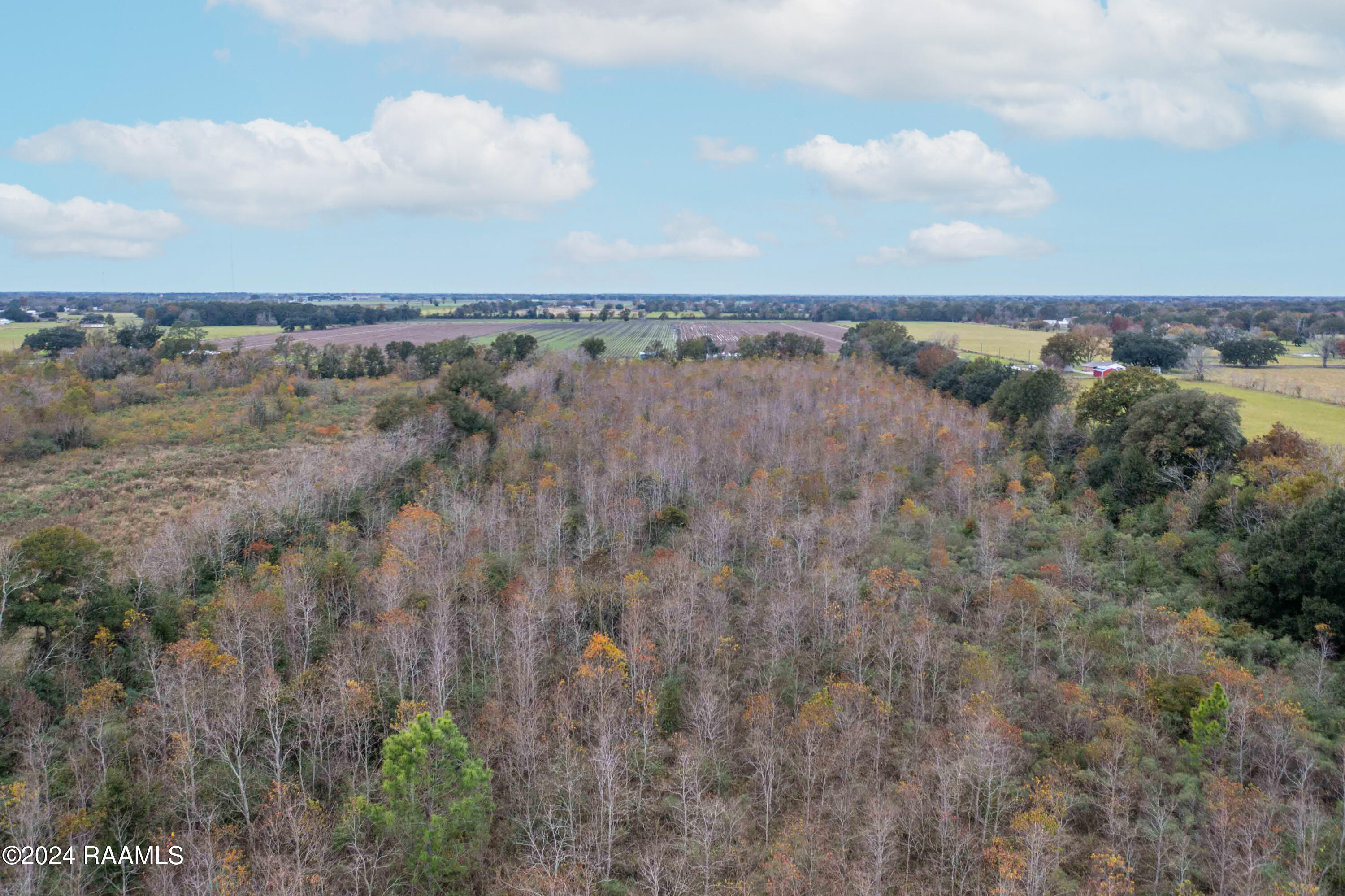 1300 Janvier Road Scott, LA 70583 - Photo 15 of 17 1300BlkJanvier-4