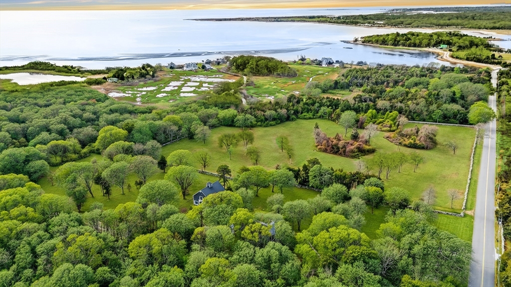 a view of a yard with an ocean