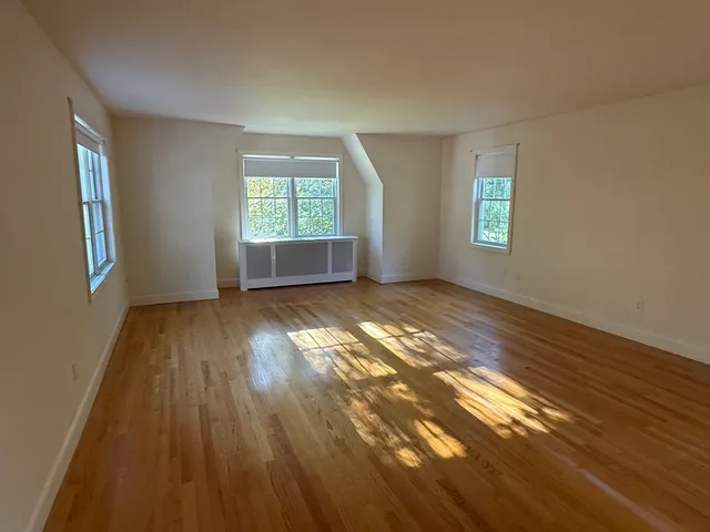 a view of a park with trees and a trees