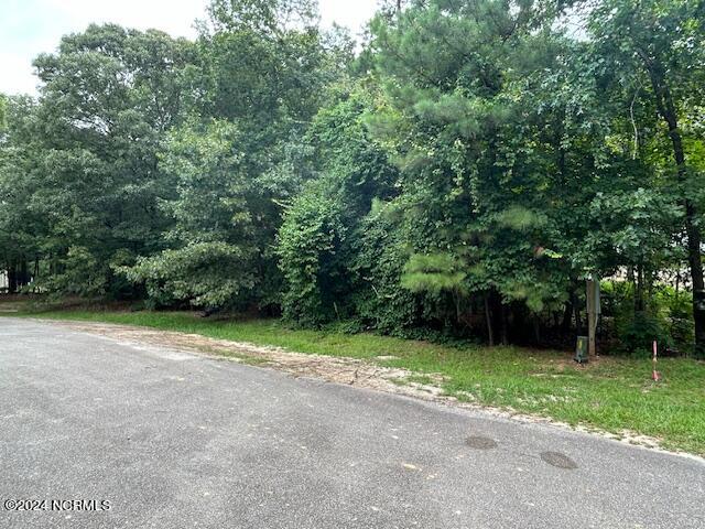 10663 McKenzie Road Bailey, NC 27807 - Photo 2 of 3 IMG_0191