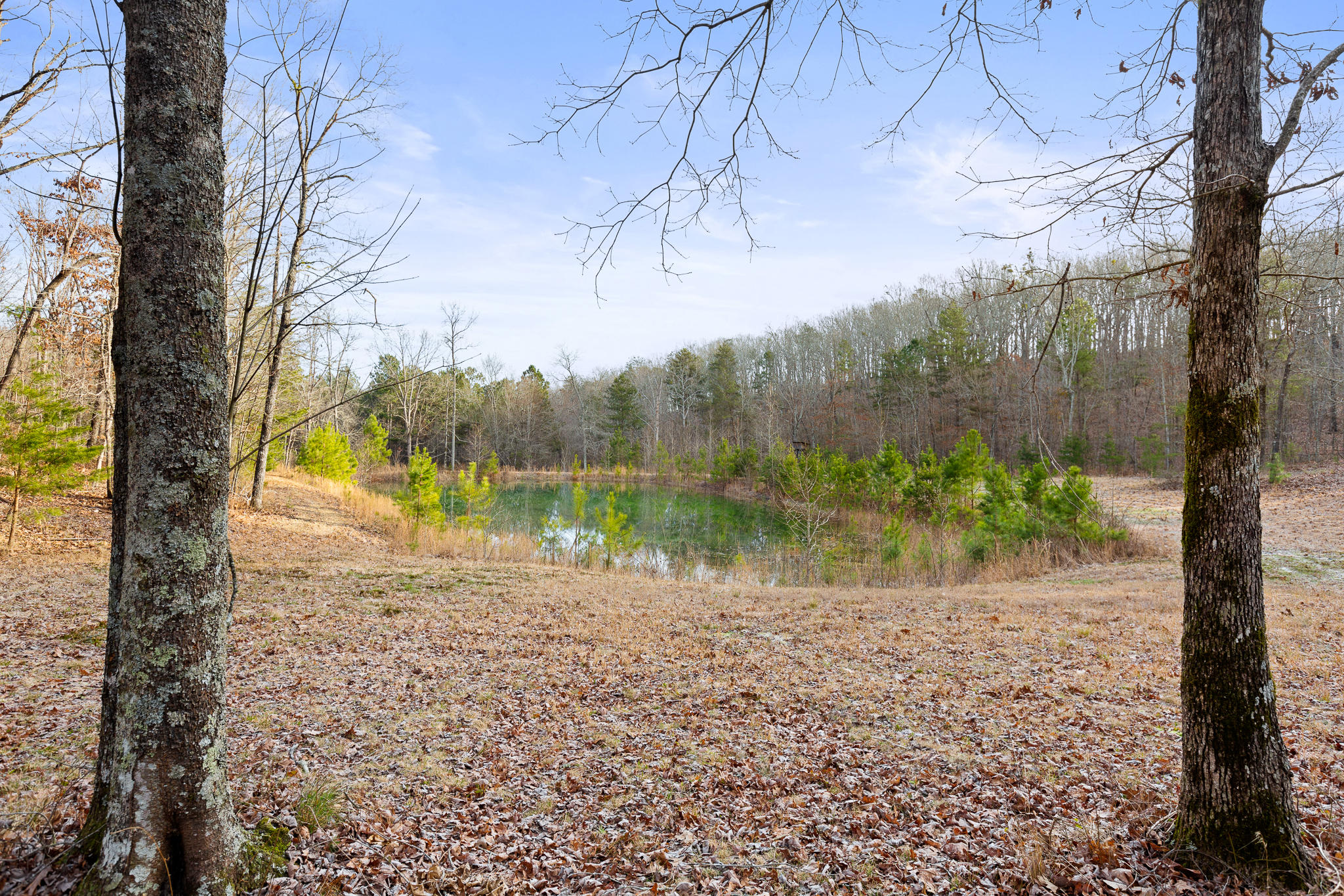 683 Lee School Road LaFayette, GA 30728 - Photo 29 of 44 Lee School (3 of 44)