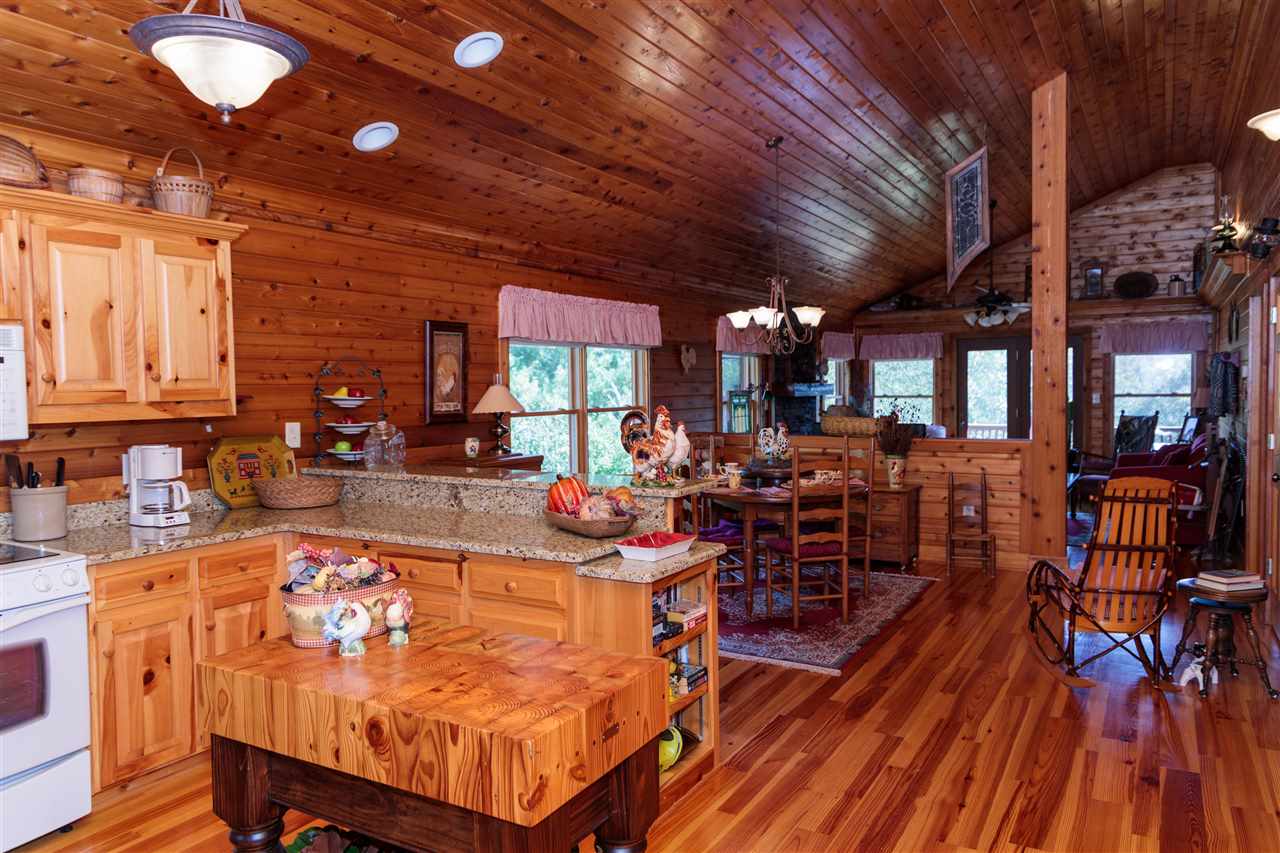 446 Fallen Tree Lane Mill Spring, NC 28756 - Photo 3 of 11