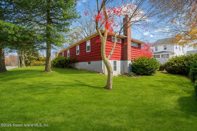 a backyard of a house with plants and large tree