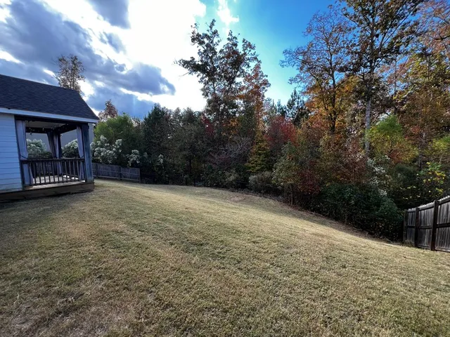 a view of backyard with green space