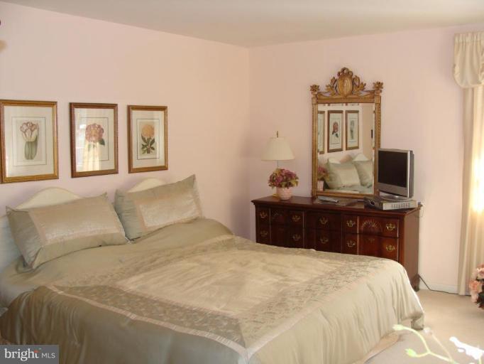6125 Haddon Hall Road Baltimore, MD 21212 - Photo 20 of 22 Master Bedroom