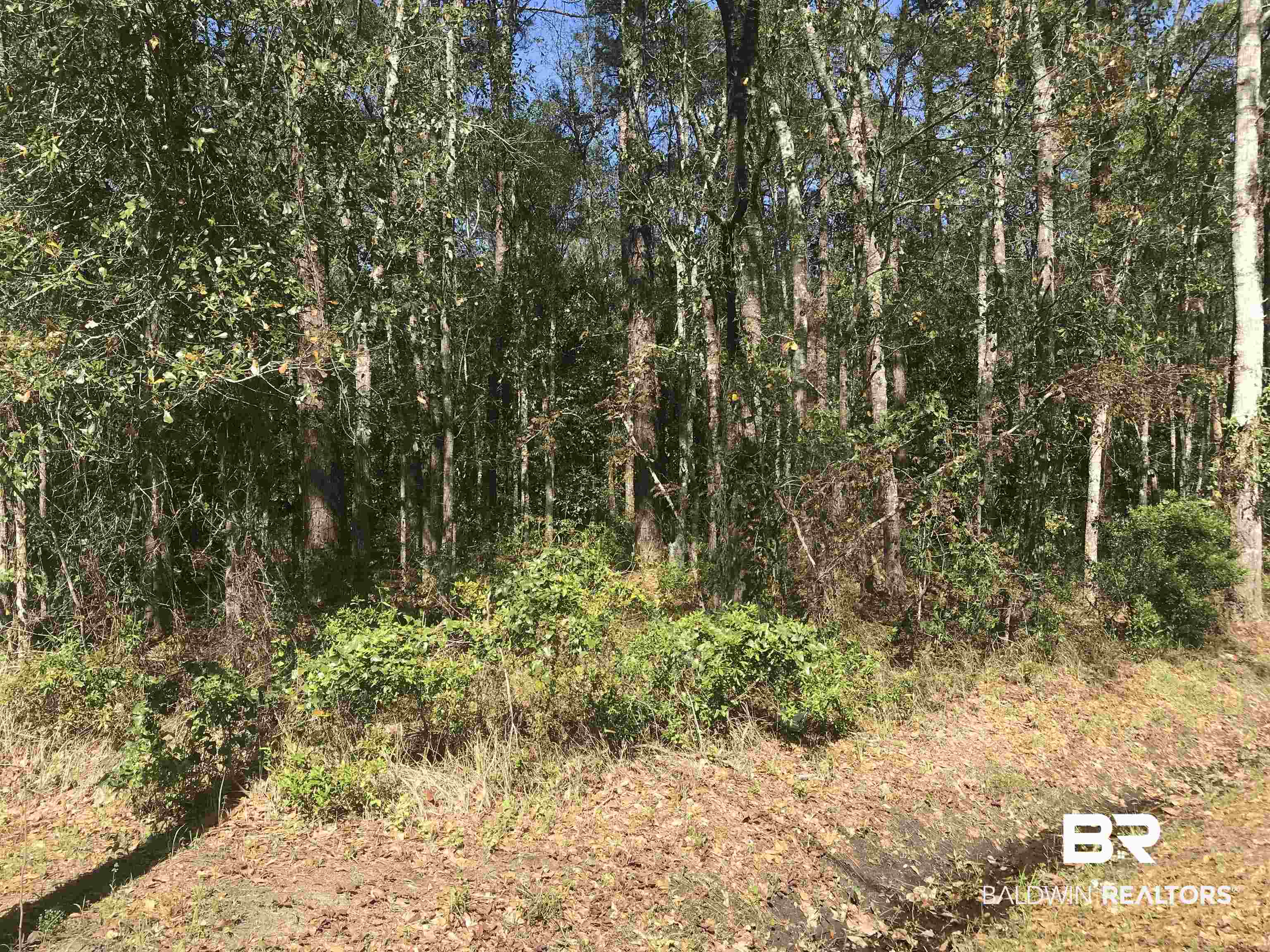 0 East Rabby Street Bayou La Batre, AL 36509 - Photo 1 of 5