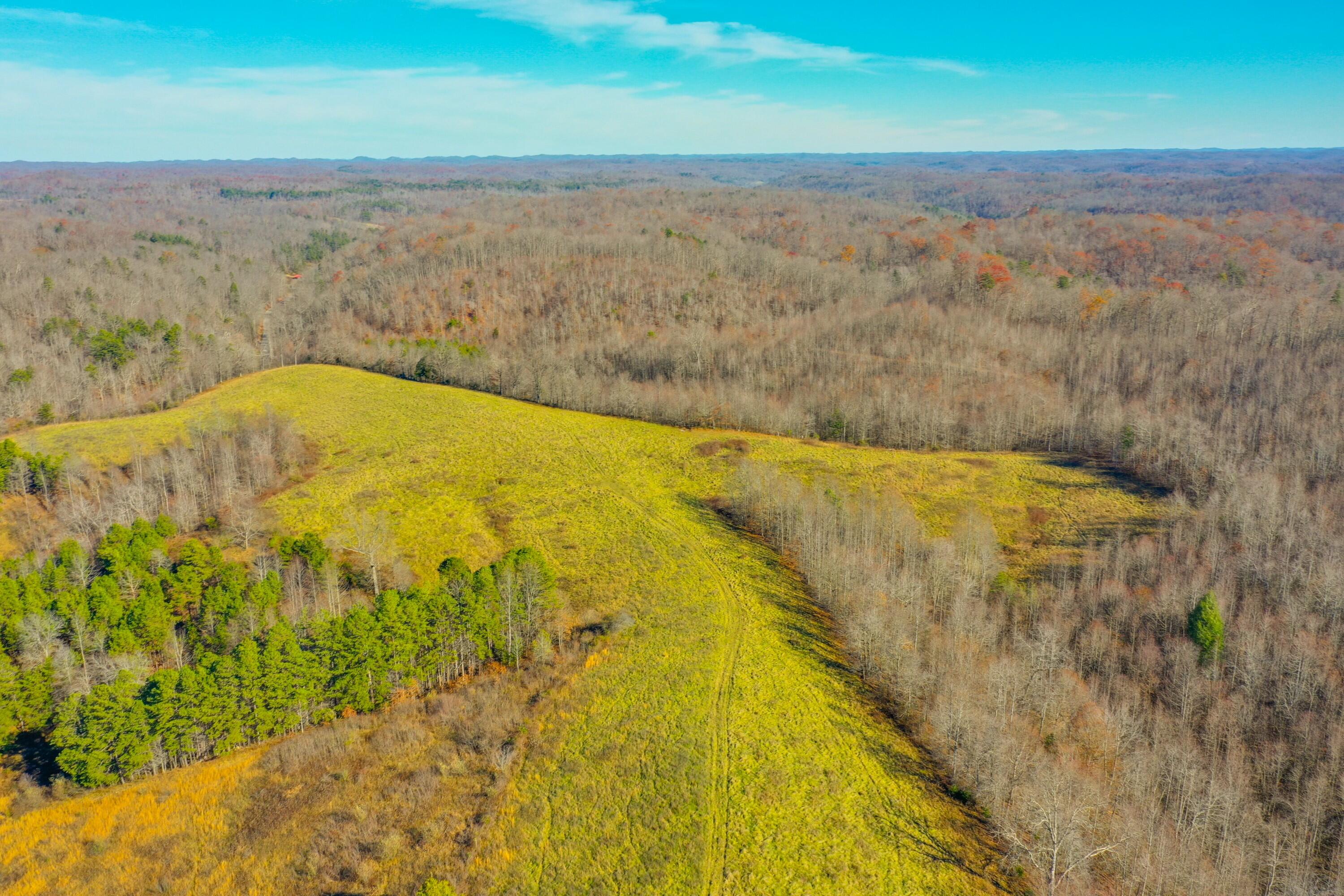 2202 Terrell Creek Road Manchester, KY 40962 - Photo 25 of 50 tempImage4qISZr