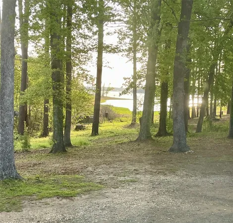 $895 | 5972 Highway 147, Zavalla, TX 75980