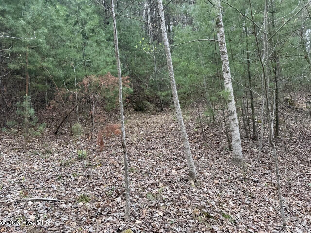0 Ogreeta Road Murphy, NC 28906 - Photo 13 of 47