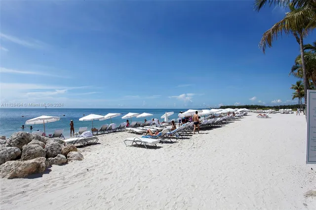 a view of a garden with a tree