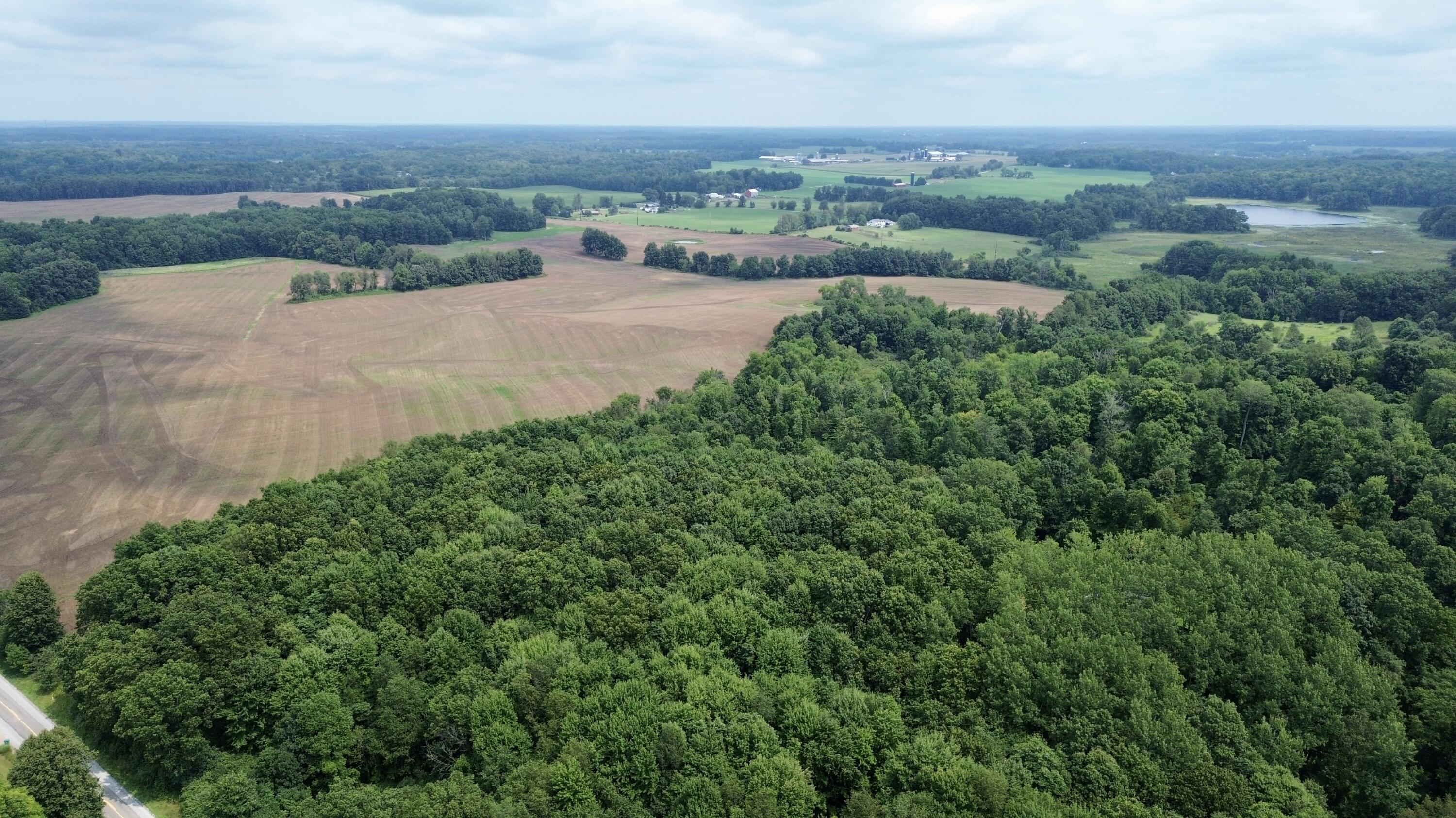 DJI_0569