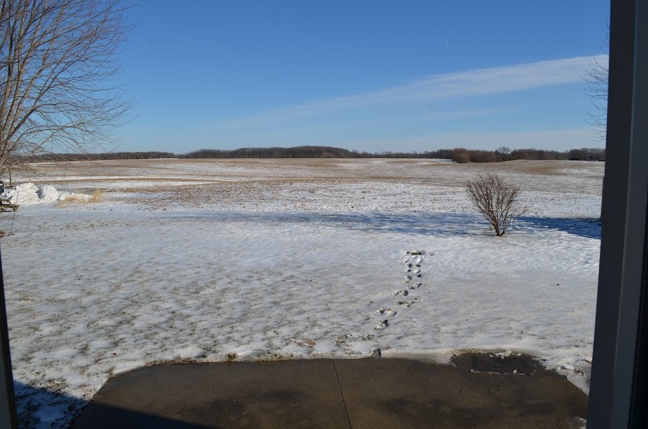 Undisclosed Address Somonauk, IL 60552 - Photo 3 of 25 a view of beach and ocean