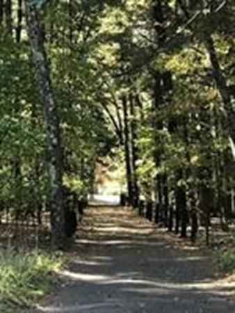 296 Buck Pond Road Westfield, MA 01085 - Photo 25 of 30 Gallery Image 25