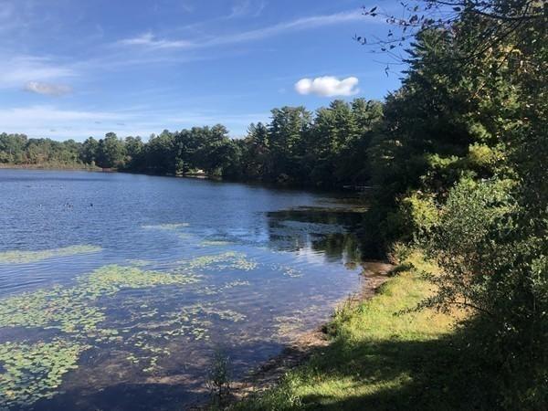 296 Buck Pond Road Westfield, MA 01085 - Photo 10 of 30 Gallery Image 10