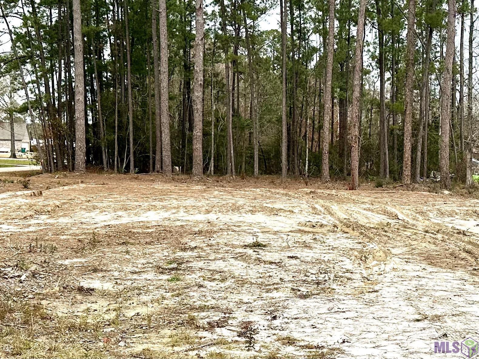 26711 Jill Road Holden, LA 70744 - Photo 2 of 8