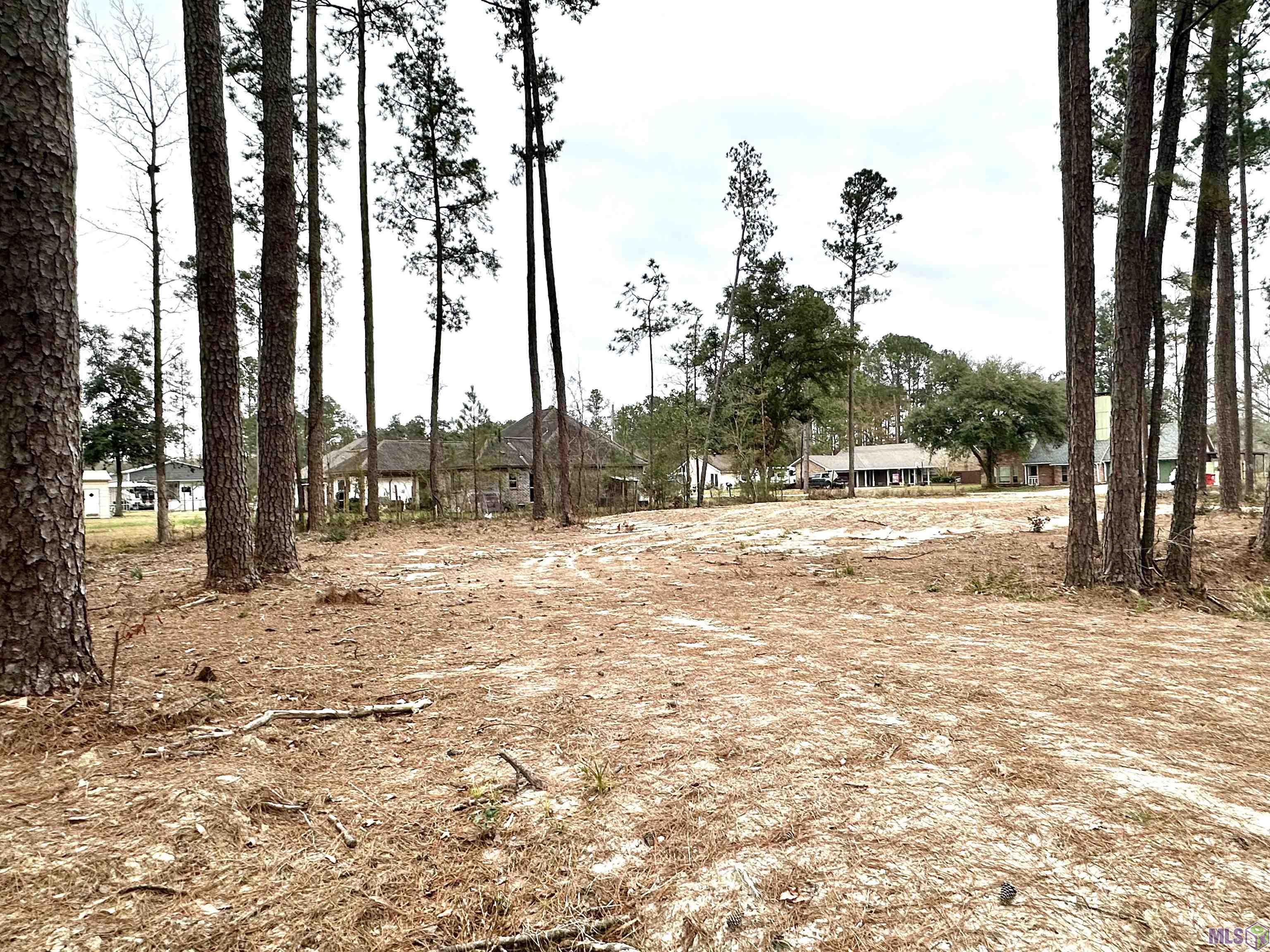 26711 Jill Road Holden, LA 70744 - Photo 3 of 8