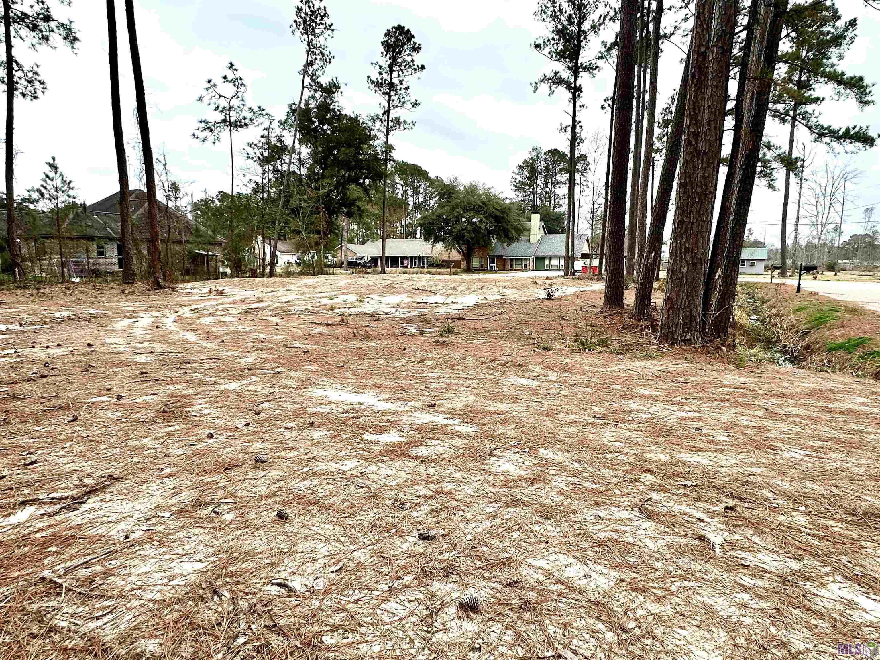 26711 Jill Road Holden, LA 70744 - Photo 4 of 8