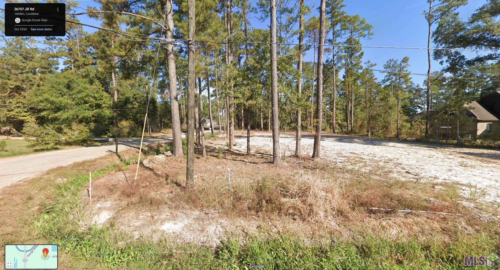 26711 Jill Road Holden, LA 70744 - Photo 6 of 8