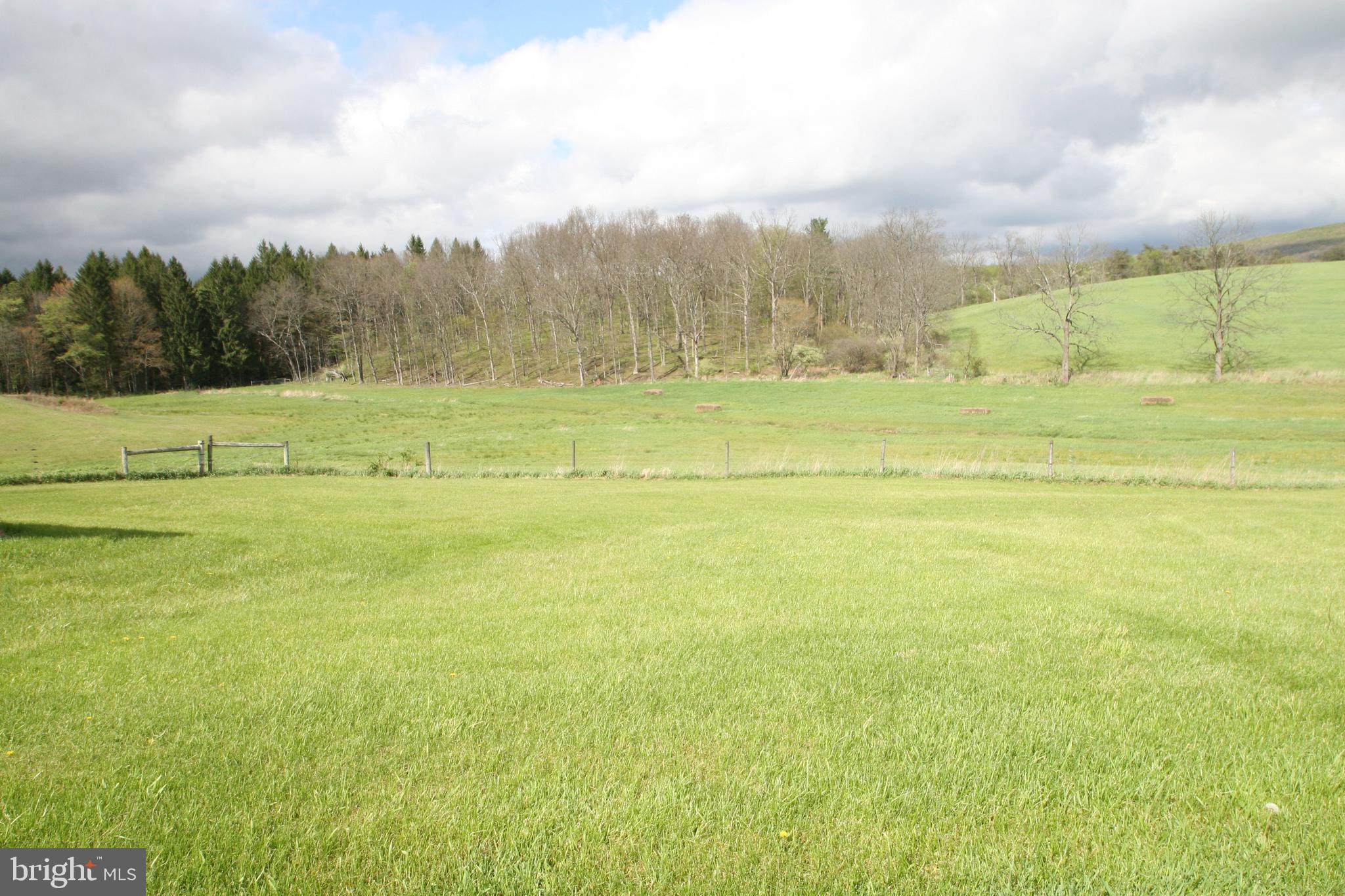 7241 Morgans Road Huntingdon, PA 16652 - Photo 12 of 70 Pasture