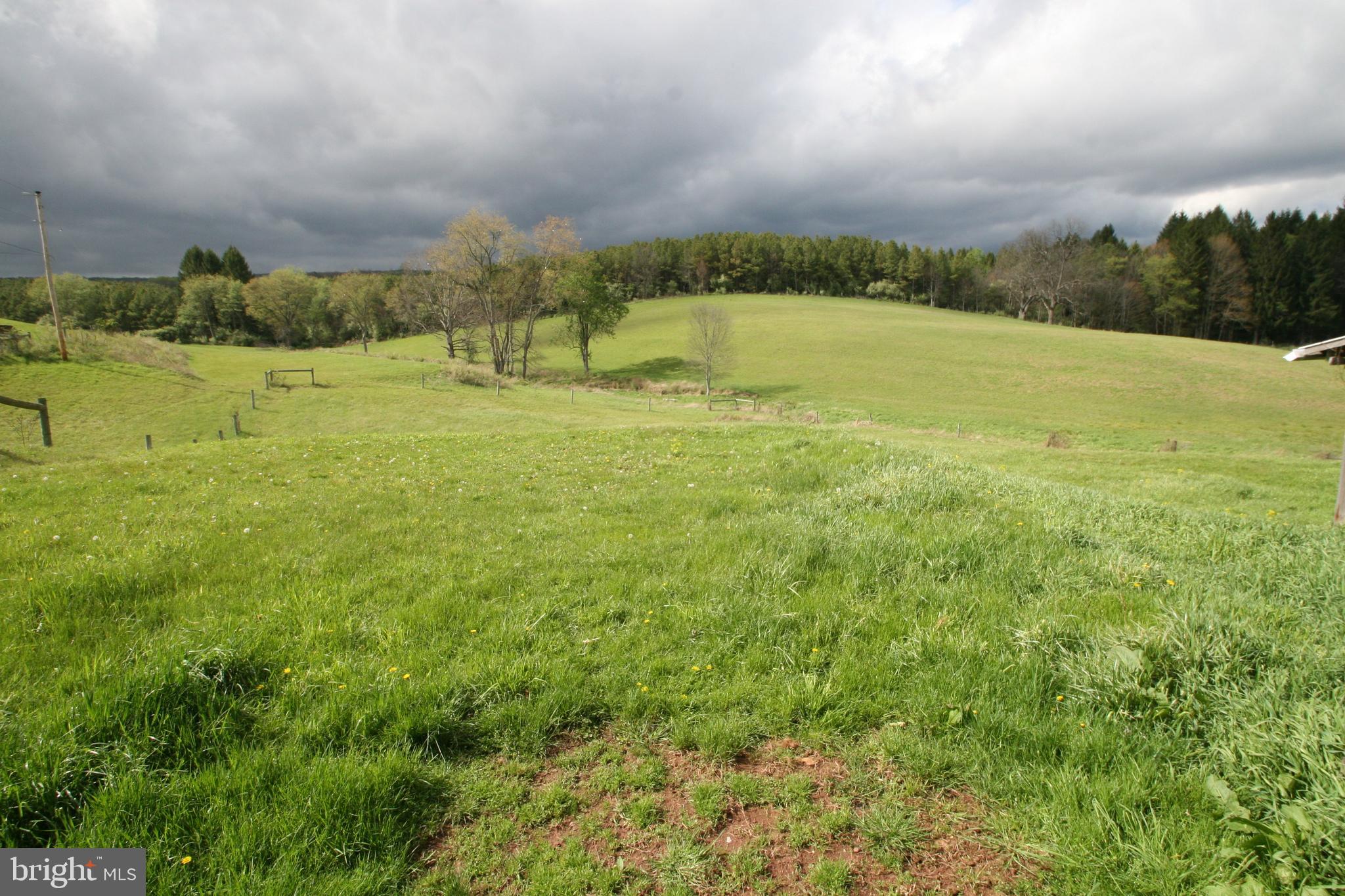 7241 Morgans Road Huntingdon, PA 16652 - Photo 19 of 70 Pasture