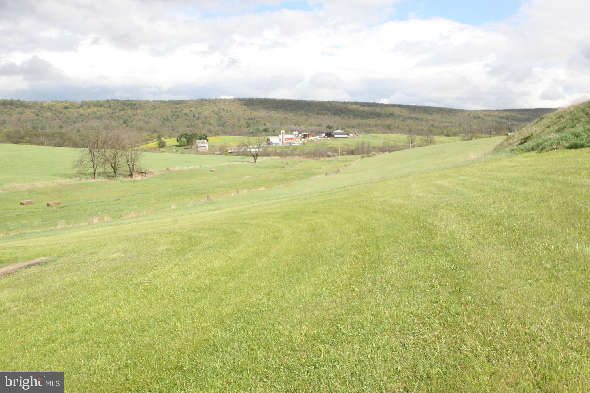 7241 Morgans Road Huntingdon, PA 16652 - Photo 20 of 70 Hay Field