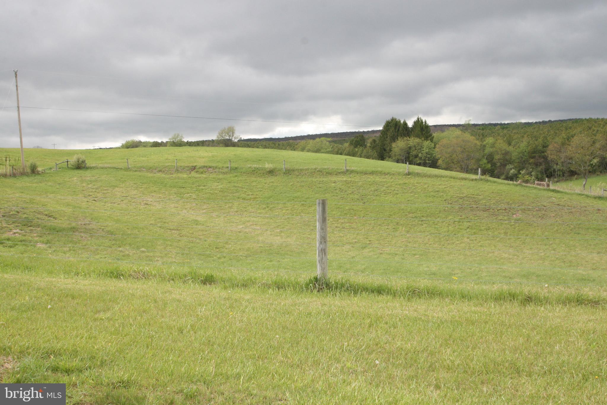 7241 Morgans Road Huntingdon, PA 16652 - Photo 41 of 70 Pasture