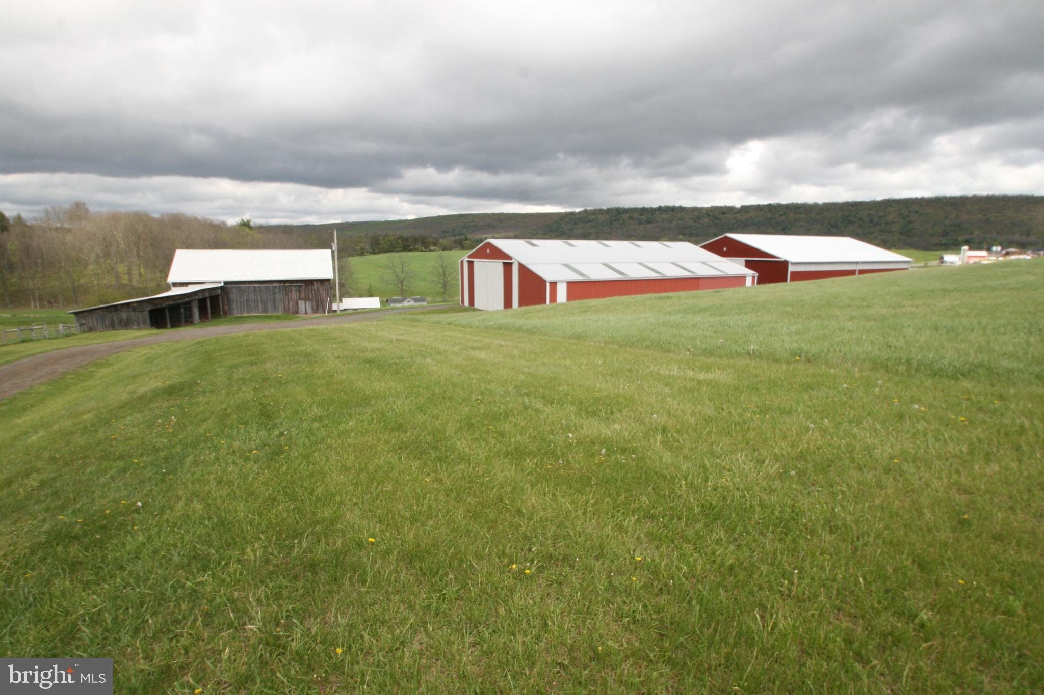 7241 Morgans Road Huntingdon, PA 16652 - Photo 42 of 70 Hay Field