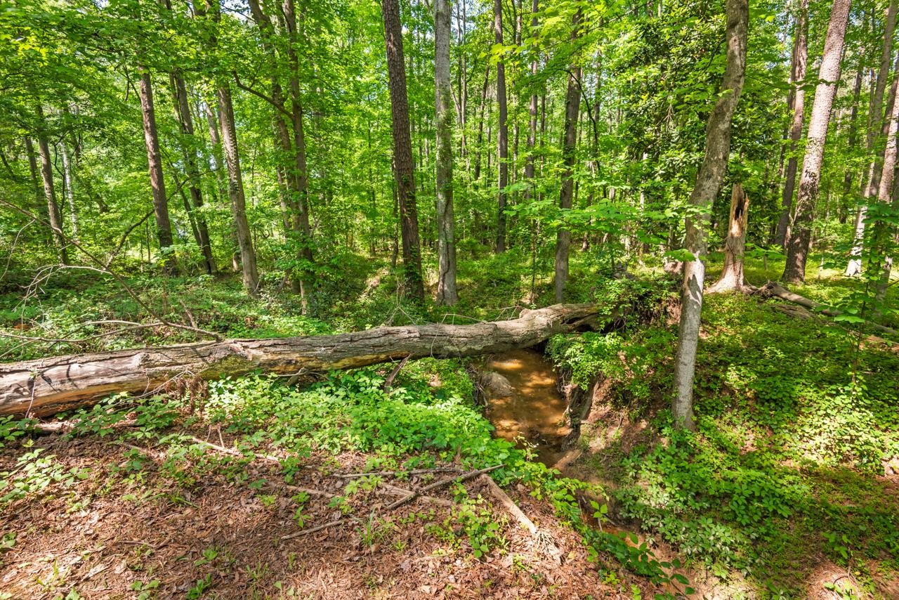 2609 Ross Road Durham, NC 27703 - Photo 35 of 40 Photo 35