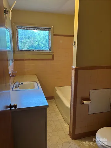 a bathroom with a sink and a toilet