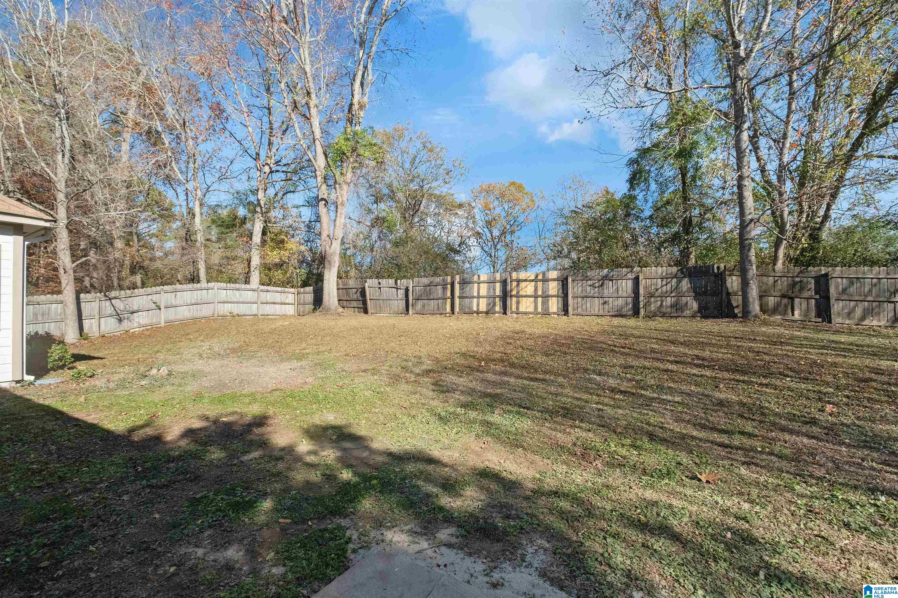 204 Lees Cove Helena, AL 35080 - Photo 36 of 38