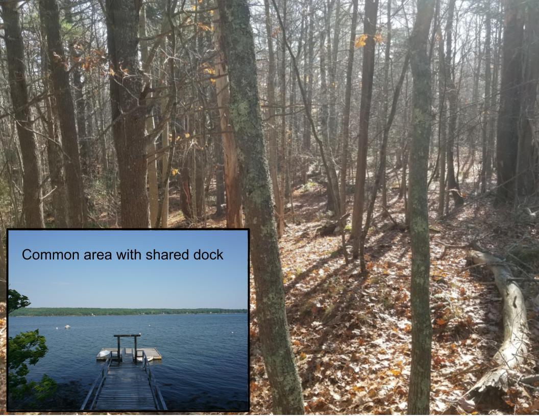 14.03 Main Road Westport Island, ME 04578 - Photo 1 of 26 Untitled presentation (5)
