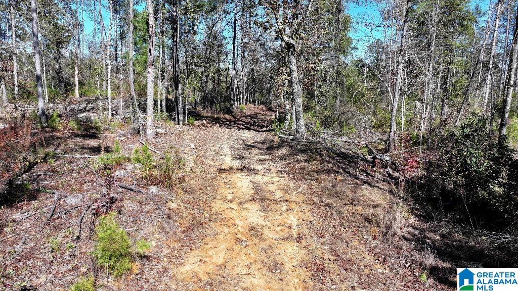 200 Kelly Creek Road Odenville, AL 35120 - Photo 41 of 47