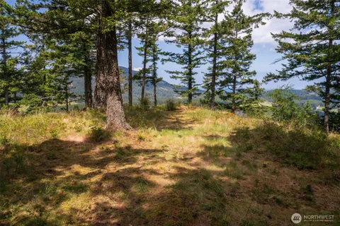 a view of outdoor space and a yard