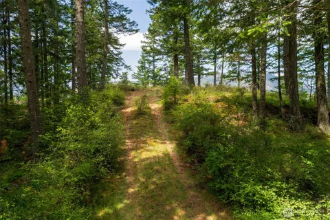 a view of yard along with trees