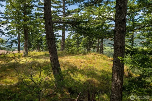a view of a city with mountains in the background