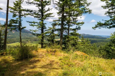 a view of lake from a yard