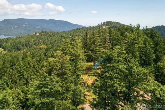 a view of a mountain