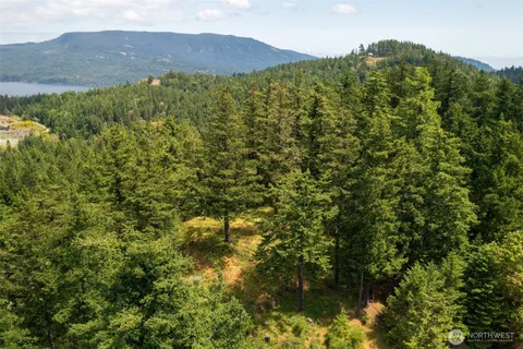 a view of a bunch of trees