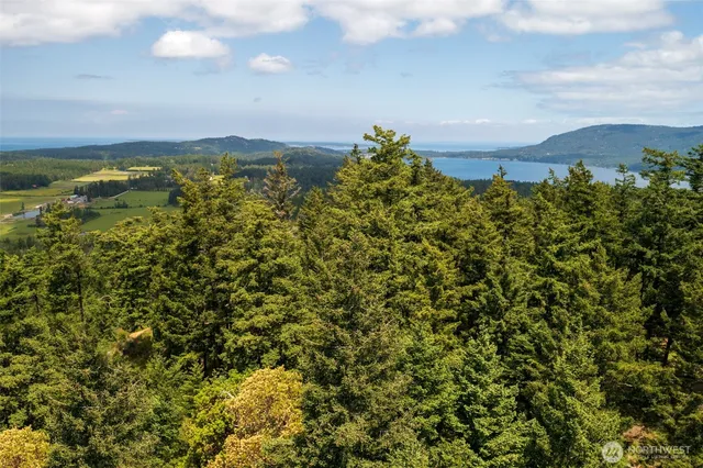 a view of a mountain with lake view
