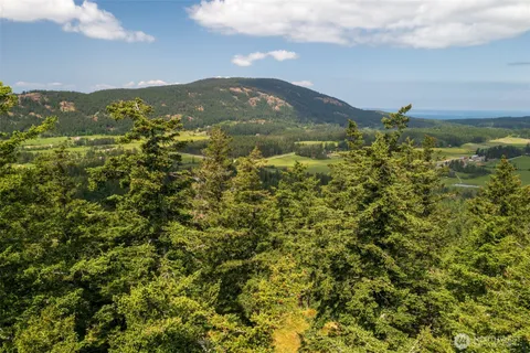 an aerial view of residential houses with outdoor space and trees