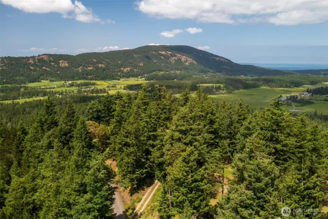 a view of a city with lush green forest