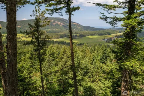 a view of a lake with a mountain in the background