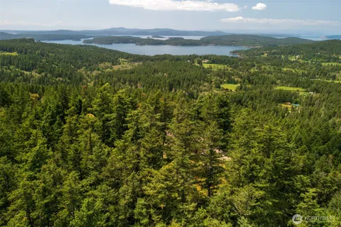 a view of a lake from a yard