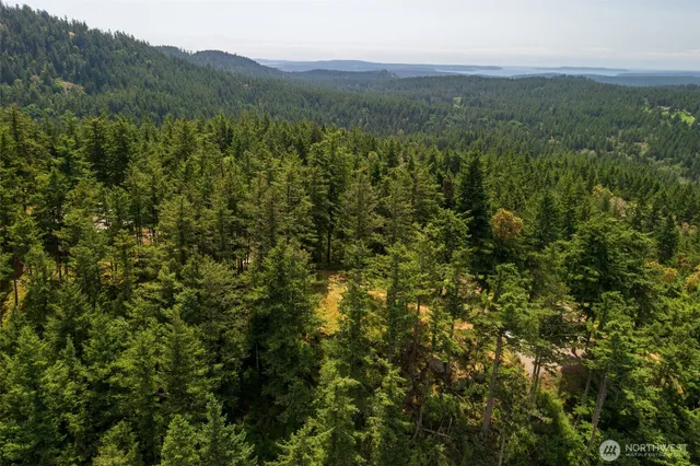 a view of lake with plants