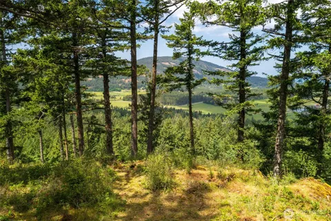 a view of lake from a yard