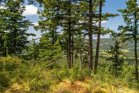 a view of swimming pool from a yard