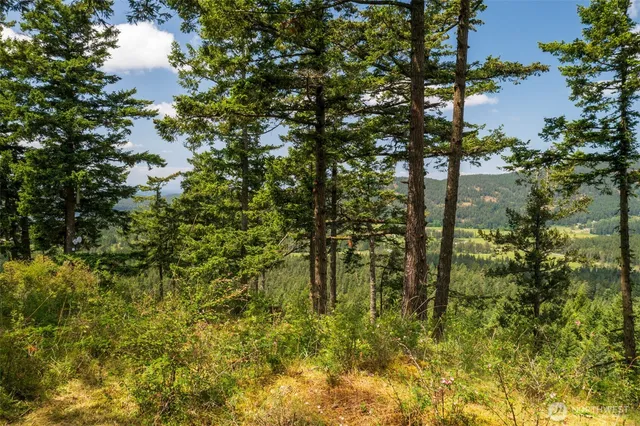 a view of swimming pool from a yard