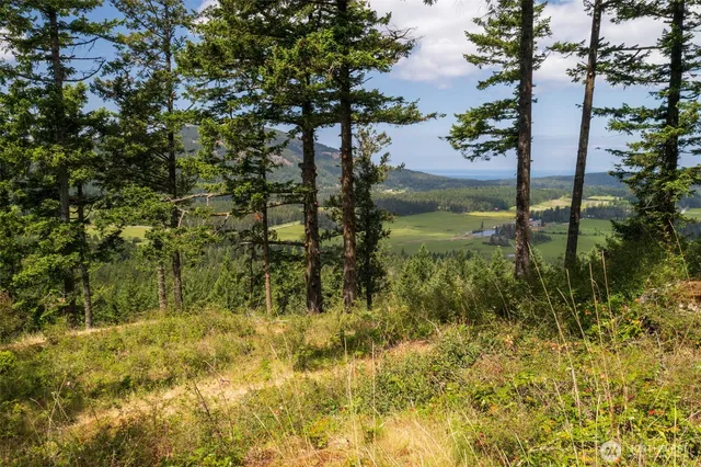 $549,000 | 1700 Mountain Crest Drive, Orcas Island, WA 98245