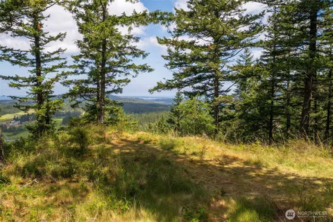 $549,000 | 1700 Mountain Crest Drive, Orcas Island, WA 98245