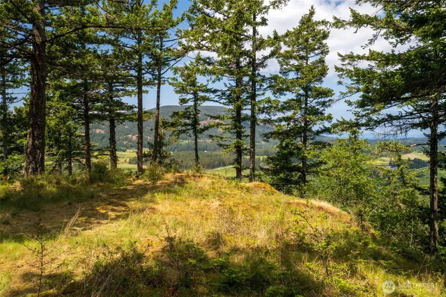 a view of swimming pool of the house